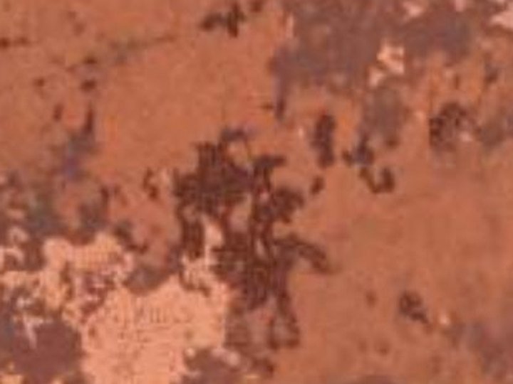 CMT 6007 Arcadian Ochre