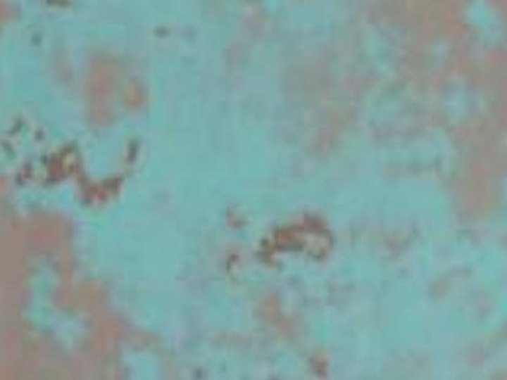CMT 6008 Saprophyte Rust