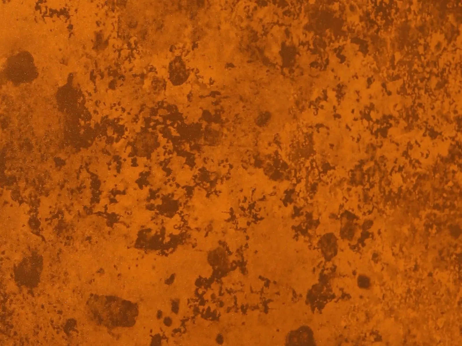CMT6007 Arcadian Ochre