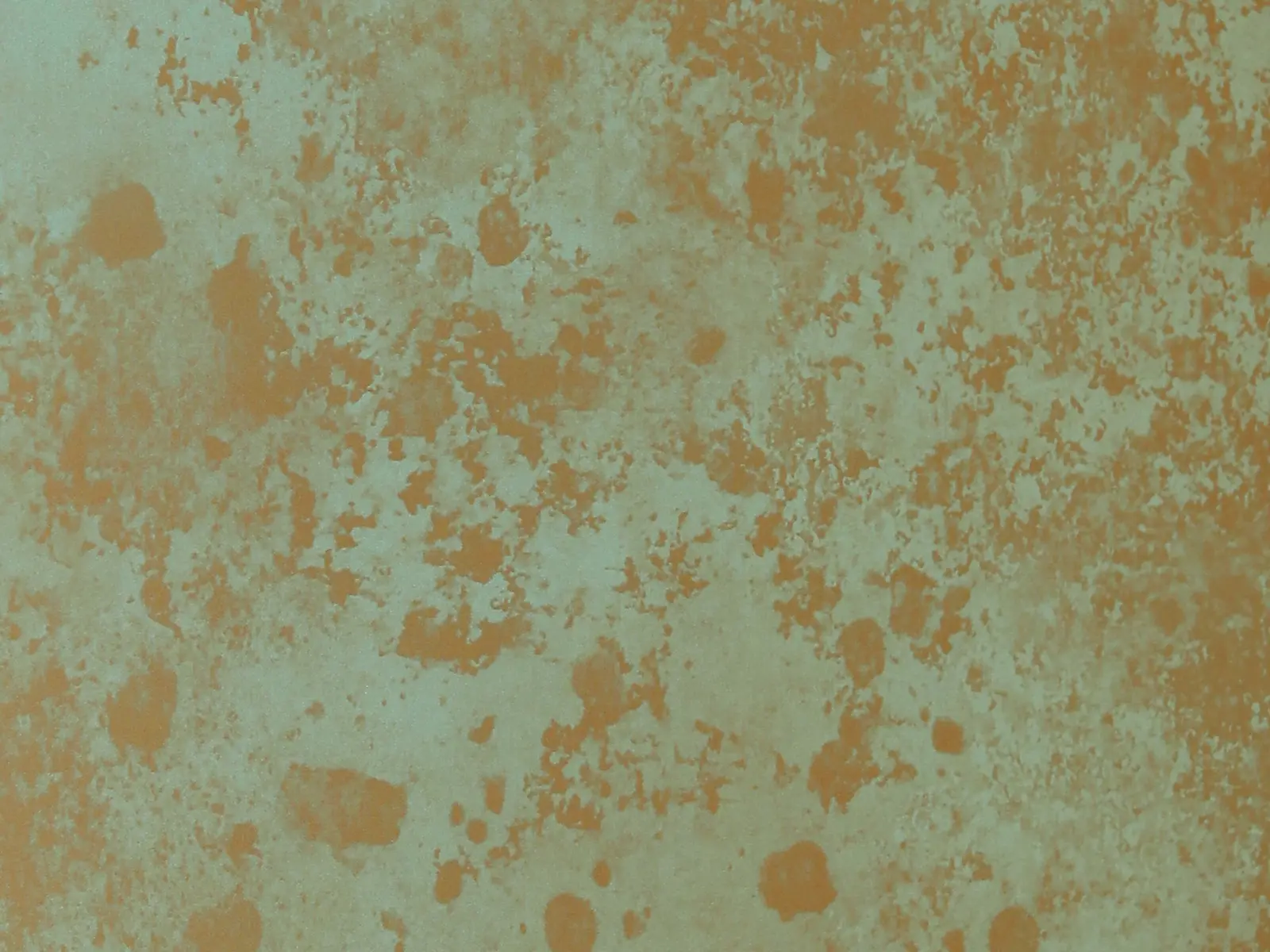 CMT6008 Saprophyte Rust