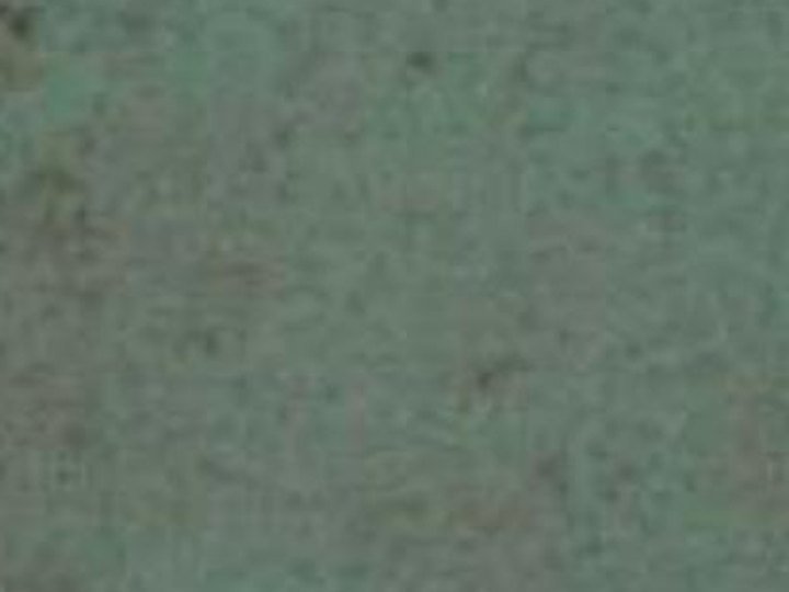 SB 2003 Anile Green