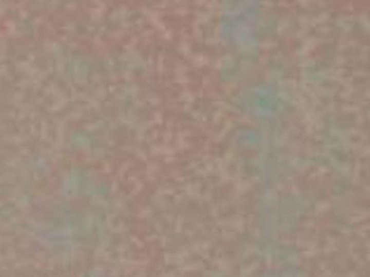 SB 3003 Profuse Copper Rust