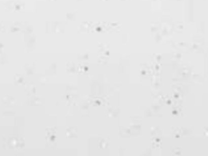 SB 951 White Sparkling