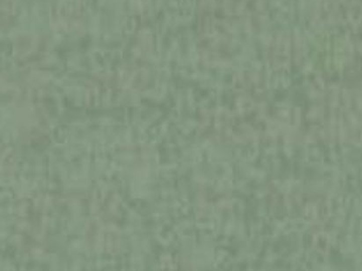SBA 7003 Earth