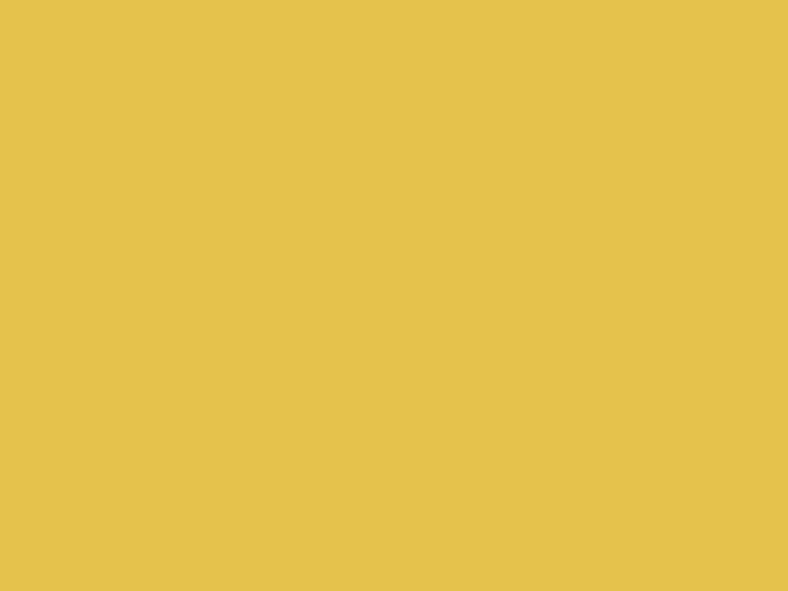 SK 4002 Jaisalmer Sunday Skin