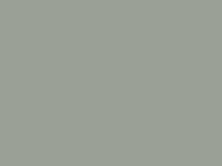 ZINC GUN Super Zinc Gun Metal